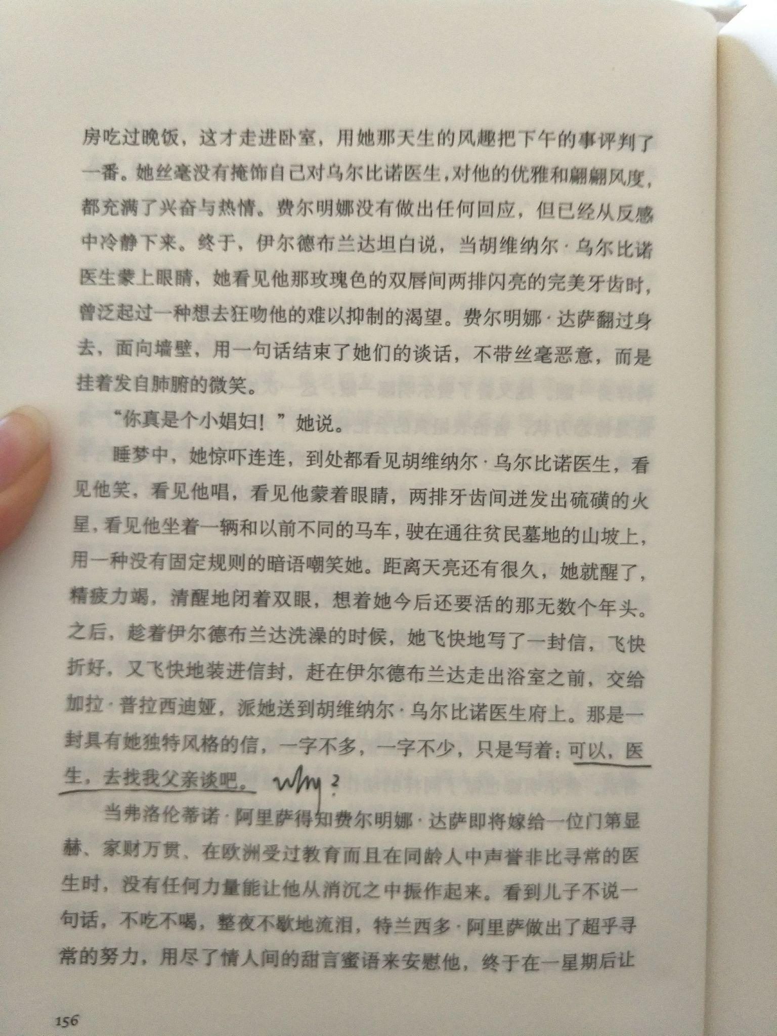 胡维纳尔乌尔比诺图片