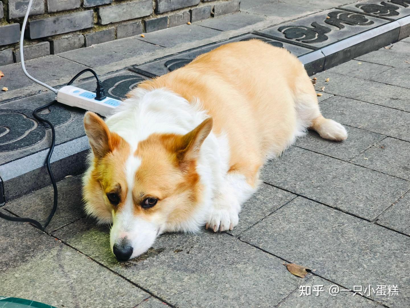 20250706 周日阴成都- 知乎