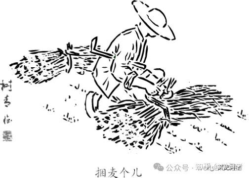 河洛农事回眸 割麦 钐麦 运麦 胡树青古文化学者 文史博学 - 知乎
