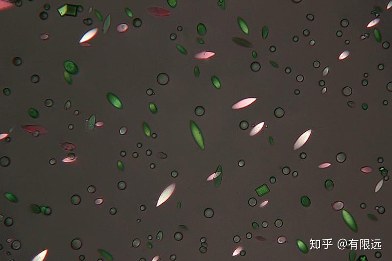请问显微镜下的针尖状和块状晶体是什么结晶? - 知乎