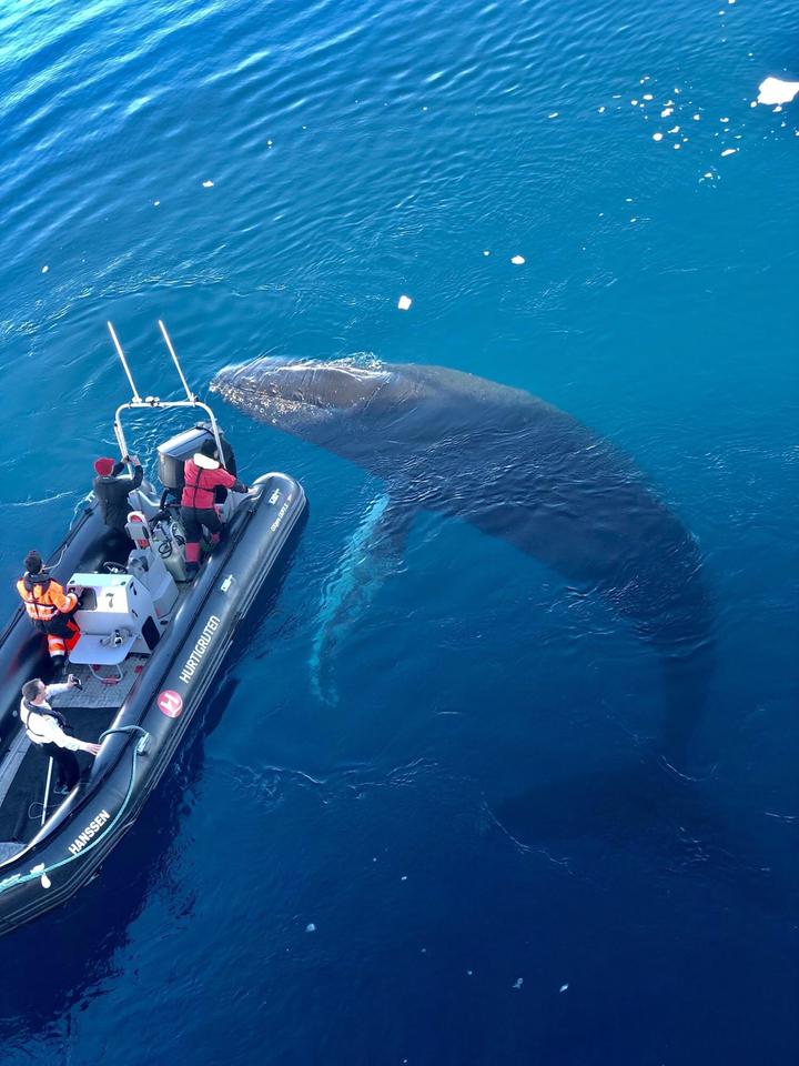 2022年0827雅思写作真题：危险运动是否应该被禁止 知乎