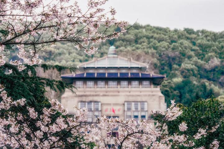 武汉大学化学院考研分析2023考研