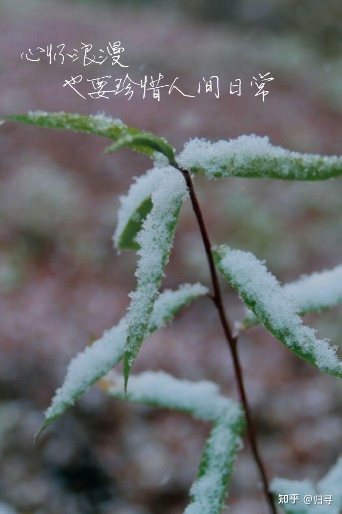 有哪些關於雪景的優美文案值得分享