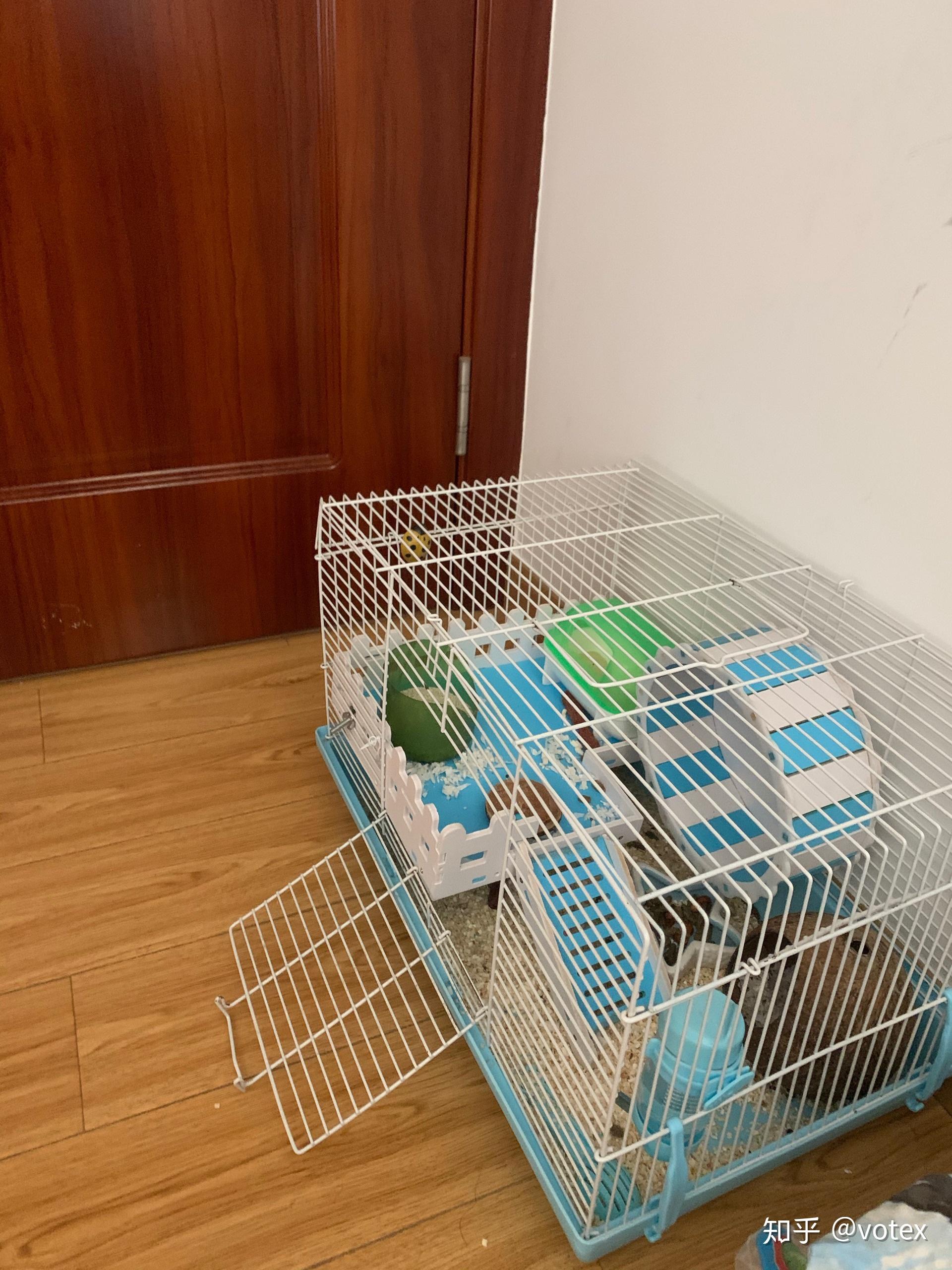 银狐仓鼠笼子47基装备齐全仓鼠老想着越狱还在床底下做了一个窝不给它