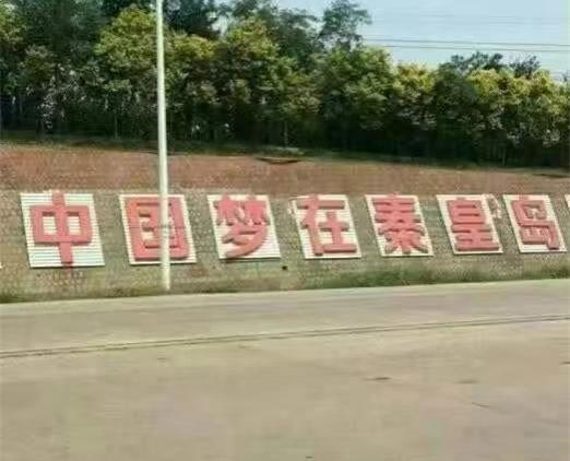 5个亿 "中绿传销美丽的谎言