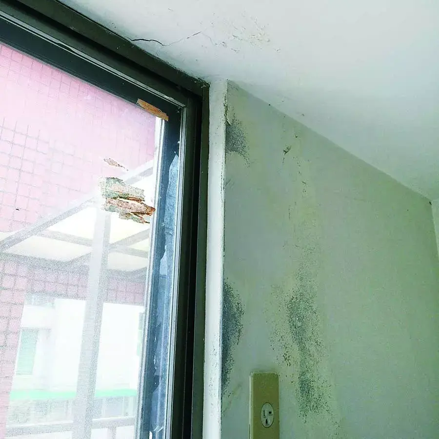 屋顶漏水如何彻底维修