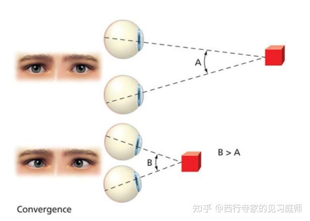 人眼是怎么感知景深的? - 知乎