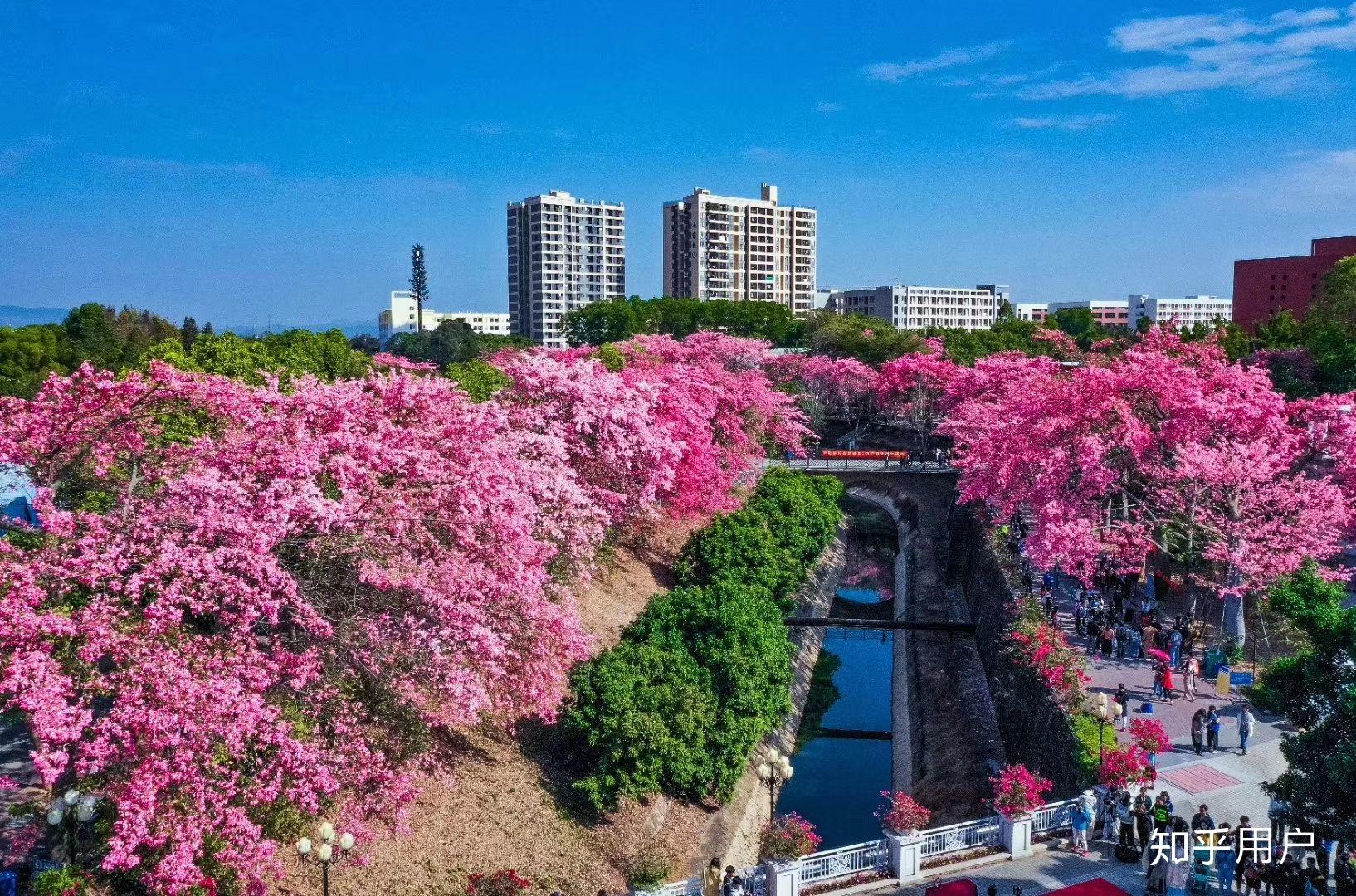 廣州大學華軟學校什麼時候拍畢業照?