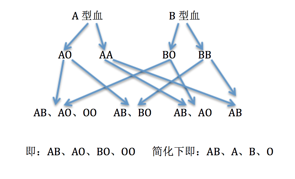 什么样的血型可以生出什么样的血型,血型是怎么遗传的? - 知乎