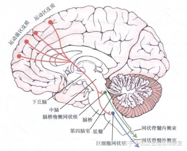 运动的发生过程 - 知乎