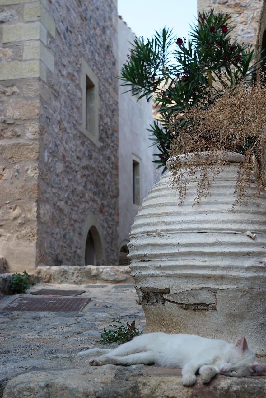 2. 温馨装修风格