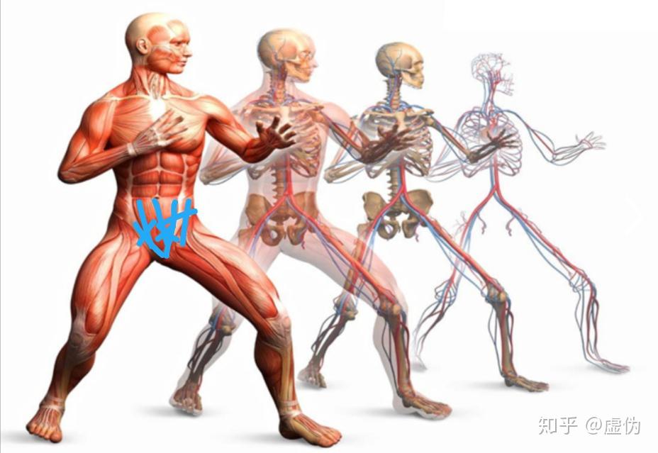 男性要害被踢是什么感觉? - 知乎