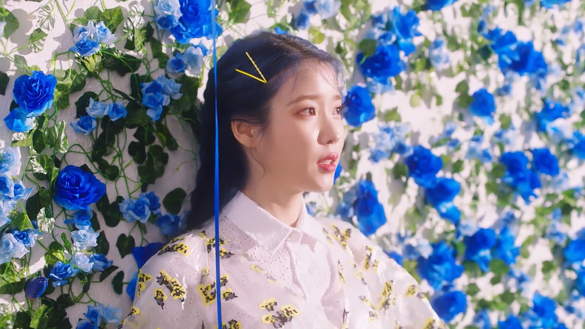 有没有iu电脑壁纸