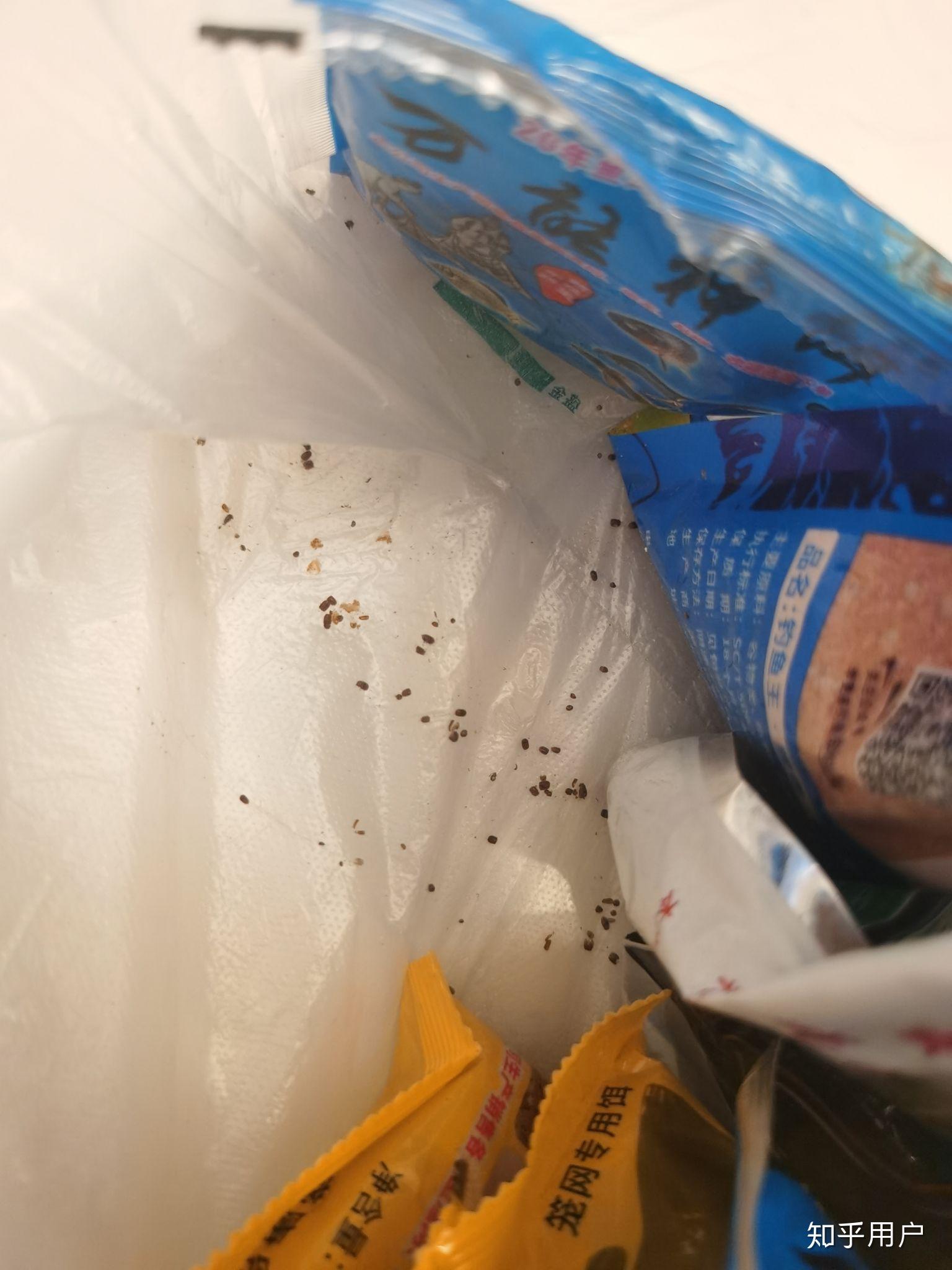 家里最近出现了很多芝麻粒大小棕褐色的小甲虫,谁知道这是什么虫子啊?