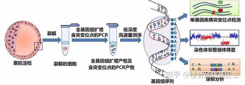生活中哪些新鲜蔬菜下奶催奶效果比较快