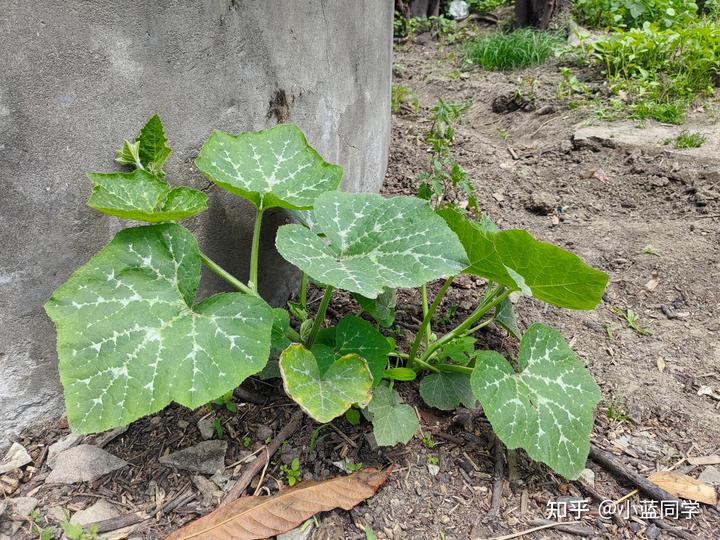 人，可以废物到什么程度？
