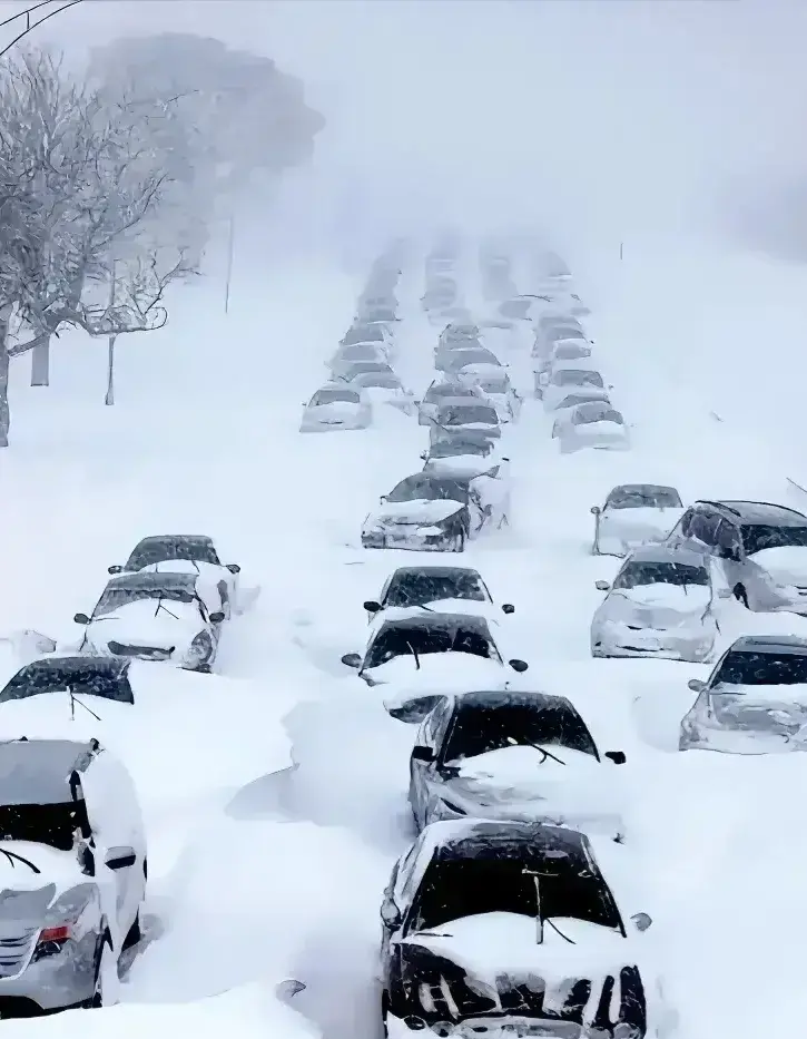 内蒙古未来三天大暴雪图片