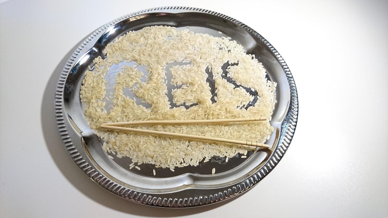 袁隆平的平民情怀