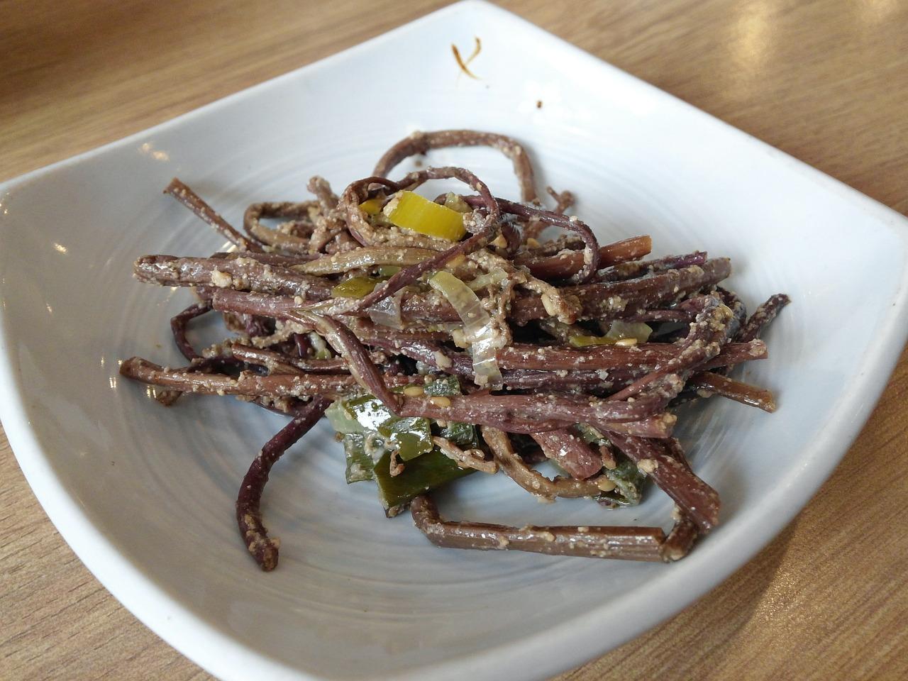 阳台养什么小菜