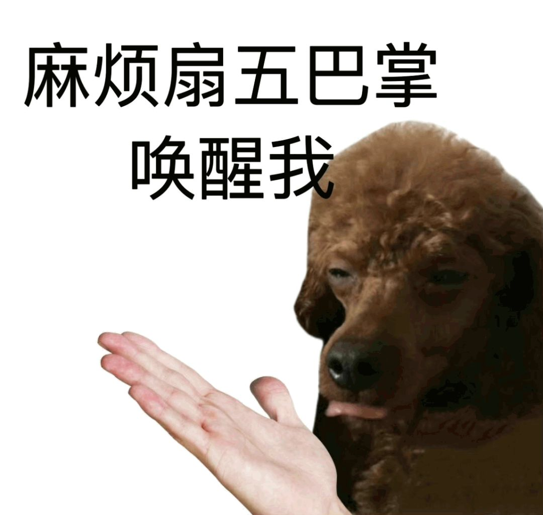 有哪些笑出猪叫的“疯批语录”？ - 知乎