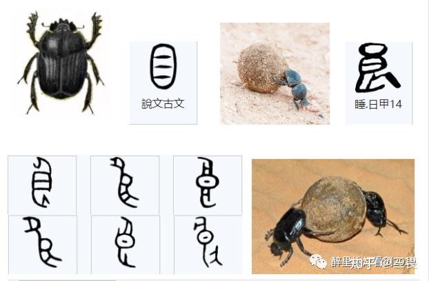 甲骨文 “ 良 ” 字的起源辨析 - 知乎
