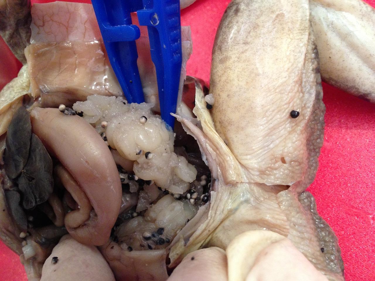 1. 夹层消防规范