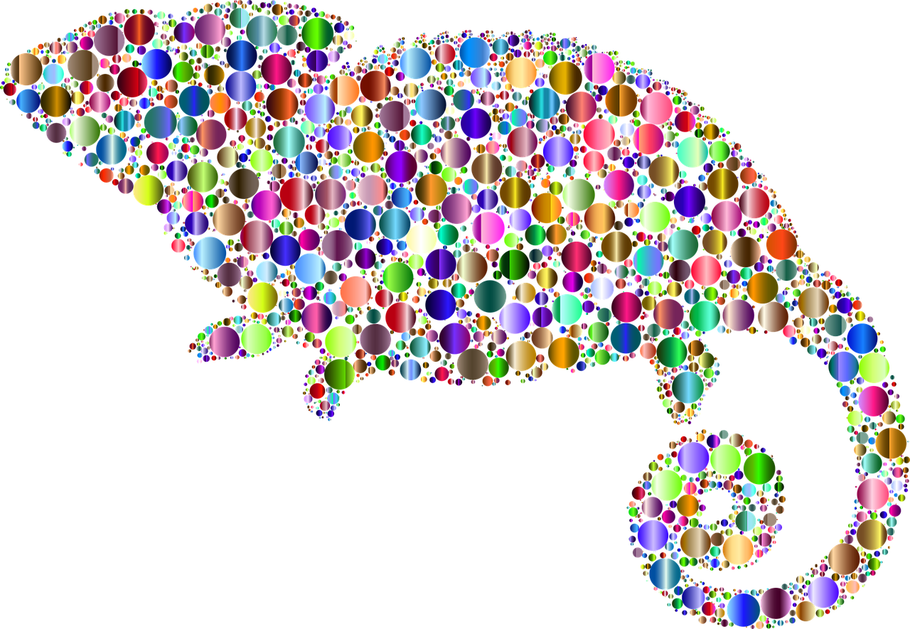 植物变色龙怎么养