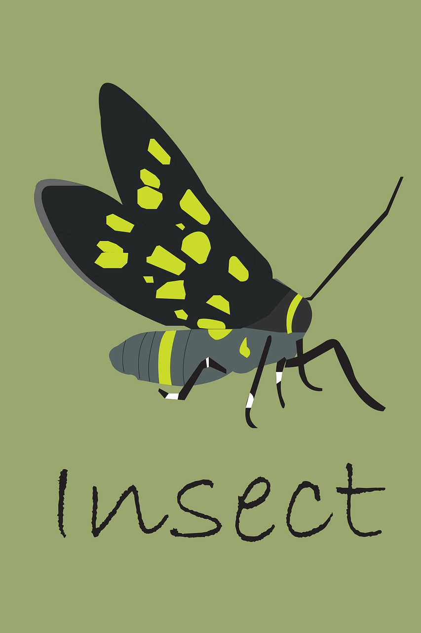 昆虫觅食大揭秘