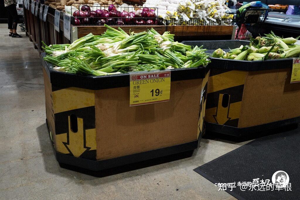 亲没怎么看? - 知乎