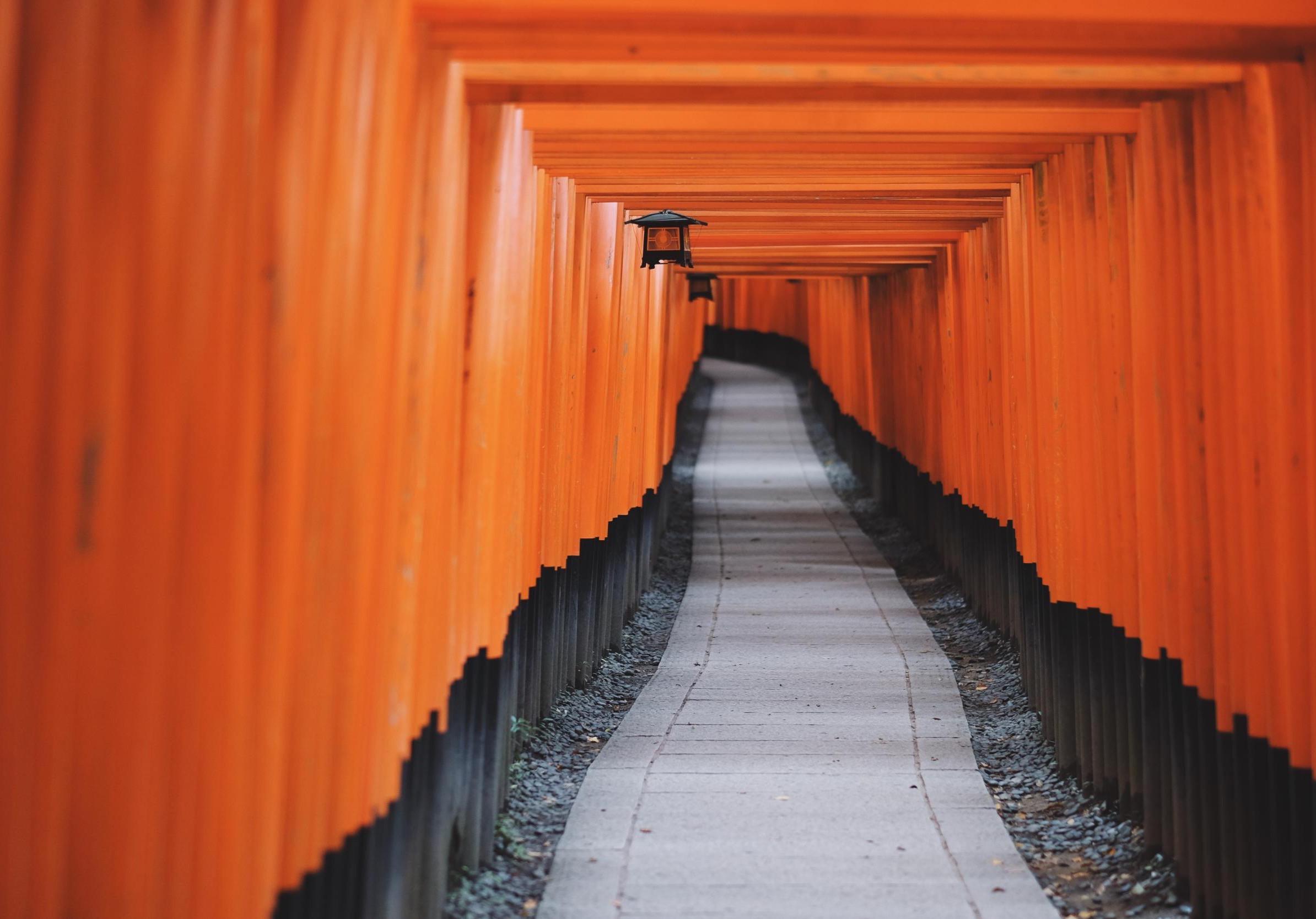 有没有在 ipad pro11寸上很震撼的超高清壁纸? - 知乎