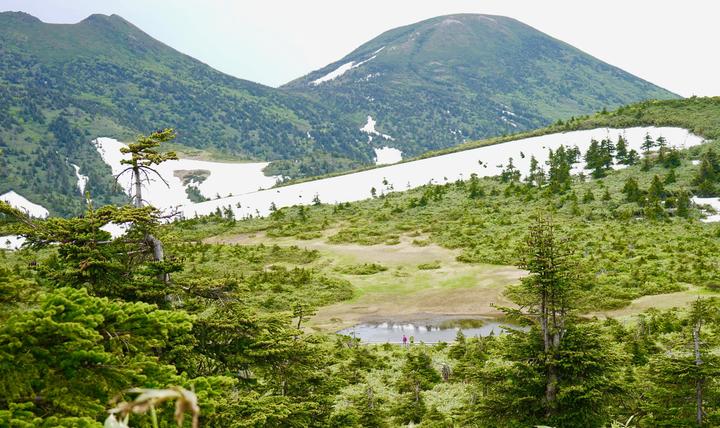 日本的湿地与高山植被——八甲田山- 知乎