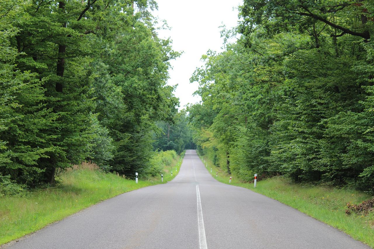 波密学区房攻略
