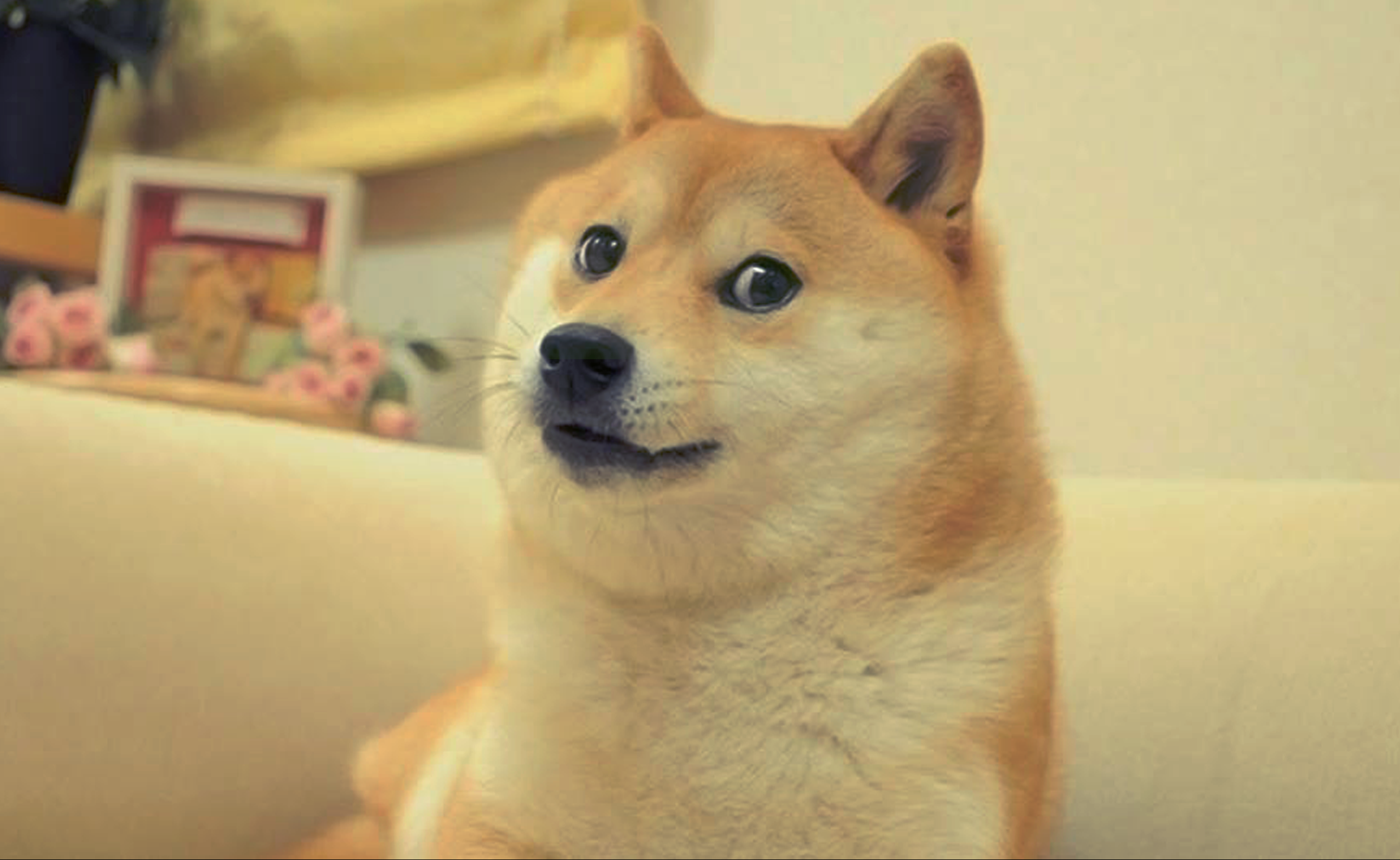 腾讯申请了"旺柴"狗头商标,以后发表情包就侵权了?