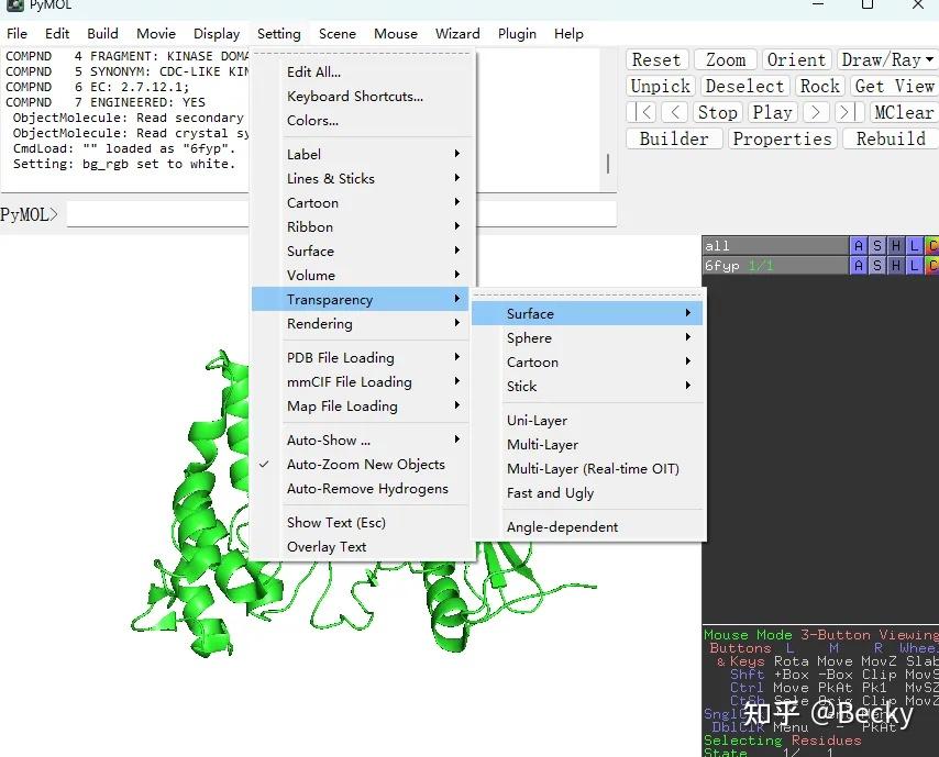 PyMOL初级教程——9.设置局部透明度 - 知乎