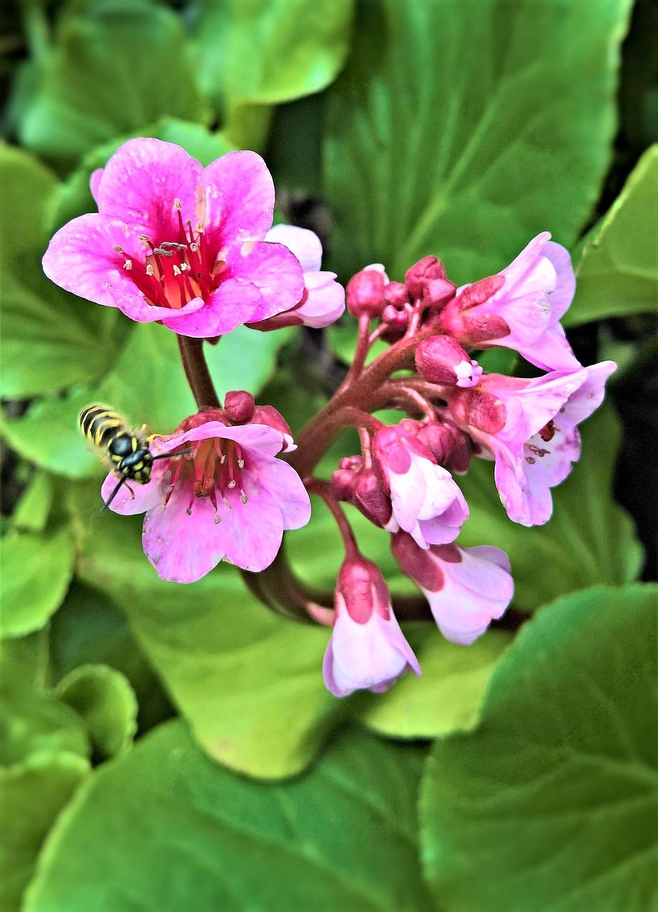 3. 黄铜丝最新报价