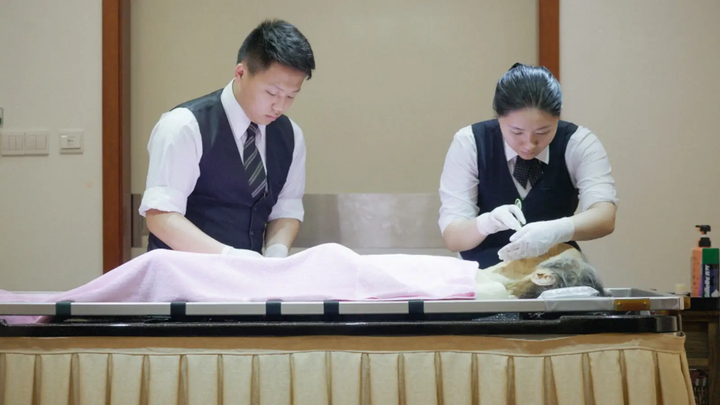 殡葬入殓师证书哪个单位颁发的？在哪报名？就业方向有哪些？ - 知乎