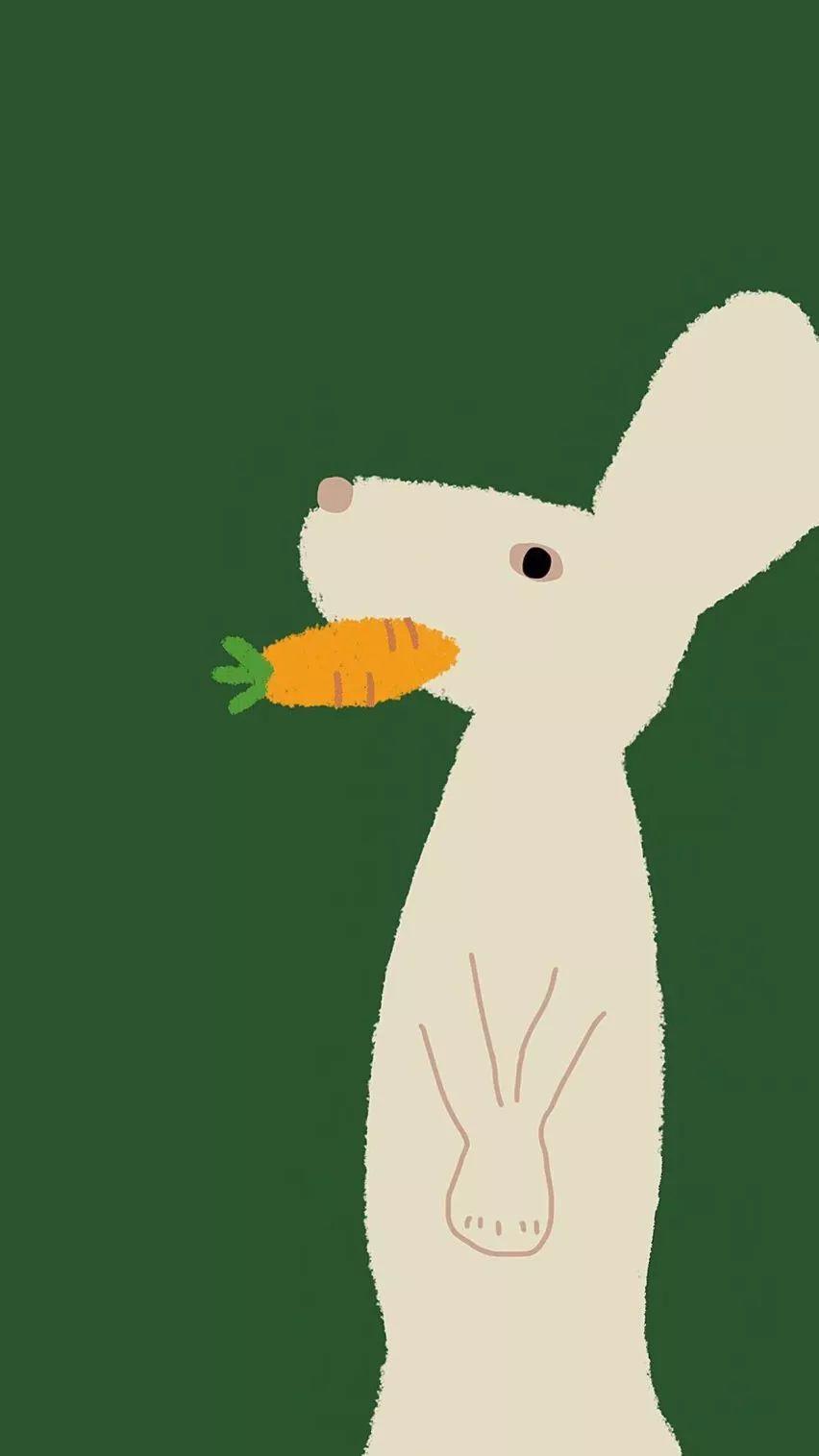 有什么保护眼睛的手机壁纸求推荐