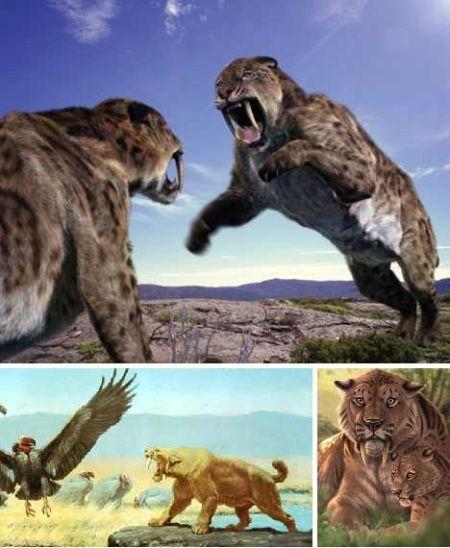 《喜羊羊与灰太狼》中有哪些细思恐极的细节?