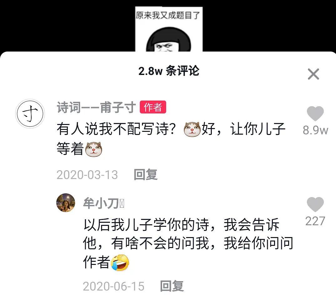 如何评价甫子寸的诗