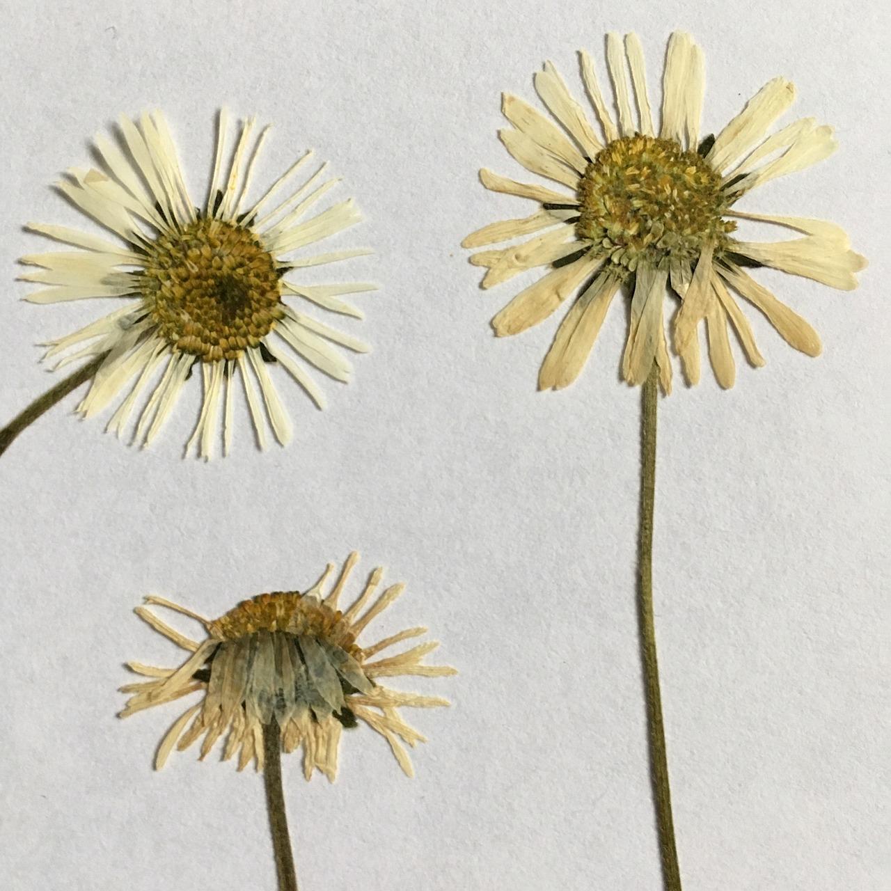 4. 喷砂费用明细