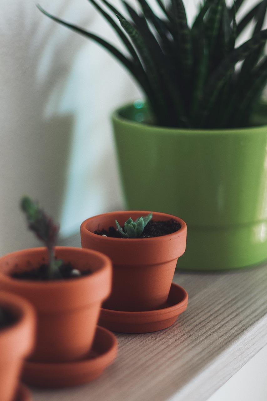 3. 外来土壤携带