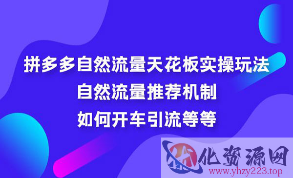 《拼多多自然流量天花板实操玩法》自然流量推荐机制，如何开车引流等等_wwz