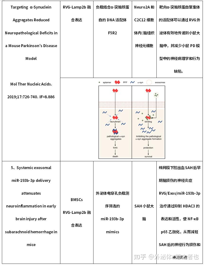 Rvg Component 干货分享|脑神经靶向RVG修饰工程化外泌体应用 - 知乎