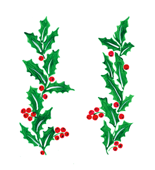 4. 雪柳花语内涵