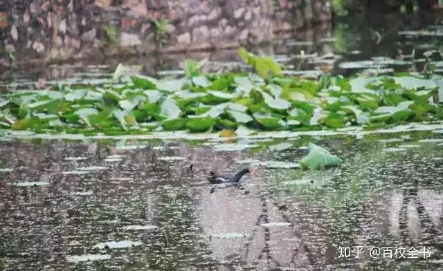 如何评价华中科技大学?-华中科技大学男朋友