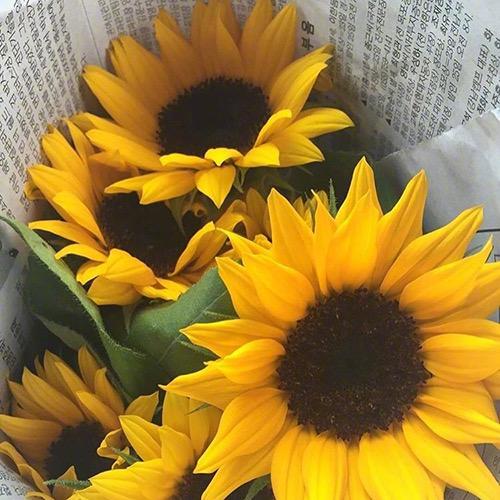 有没有什么惊艳的微信头像?-特别惊艳到人的微信头像