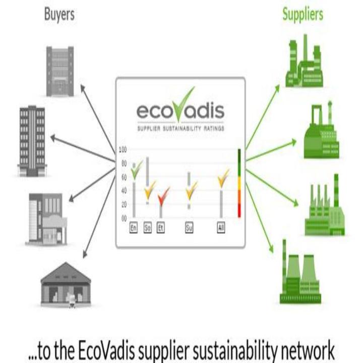 什么是EcoVadis？EcoVadis驗廠級別劃分及審核費用