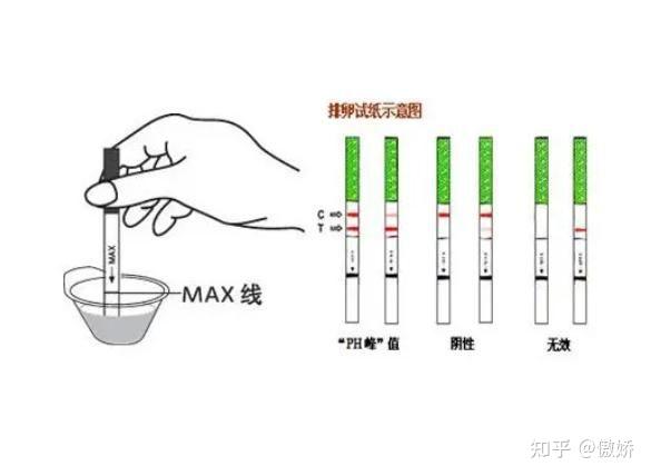 如何正确使用排卵试纸? 