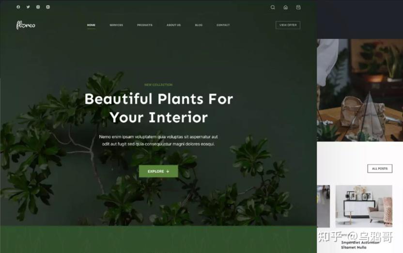 有哪些好看的极简的WordPress主题?插图27 有哪些好看的极简的WordPress主题?插图27