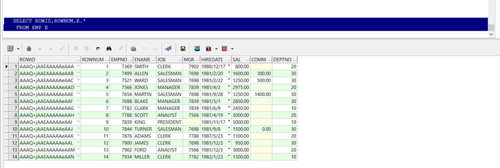 pl-sql-rowid-rownum